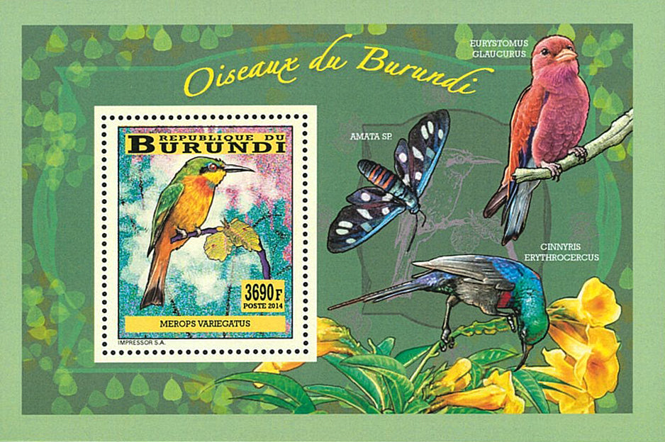 Fauna & Flora : Birds (II)