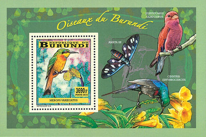 Fauna & Flora : Birds (II)
