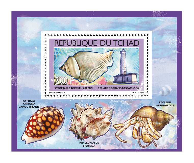 Shells & Lighthouses 2012