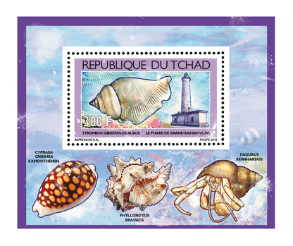 Shells & Lighthouses 2012