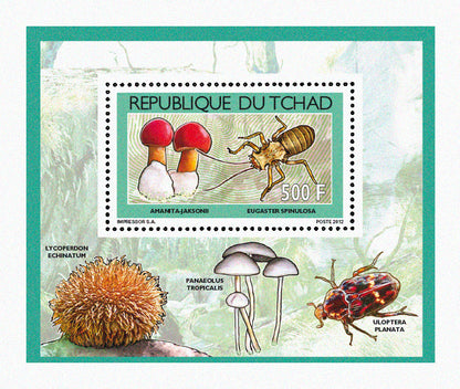 Mushrooms & Beetles (1)