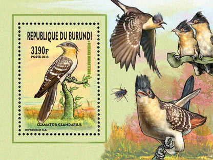 Fauna & Flora : Birds 2015 (V) Nicheurs