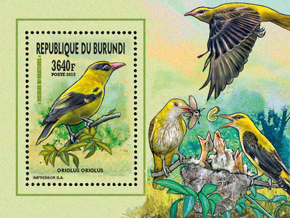 Fauna & Flora : Birds 2015 (VII) Oiseaux divers