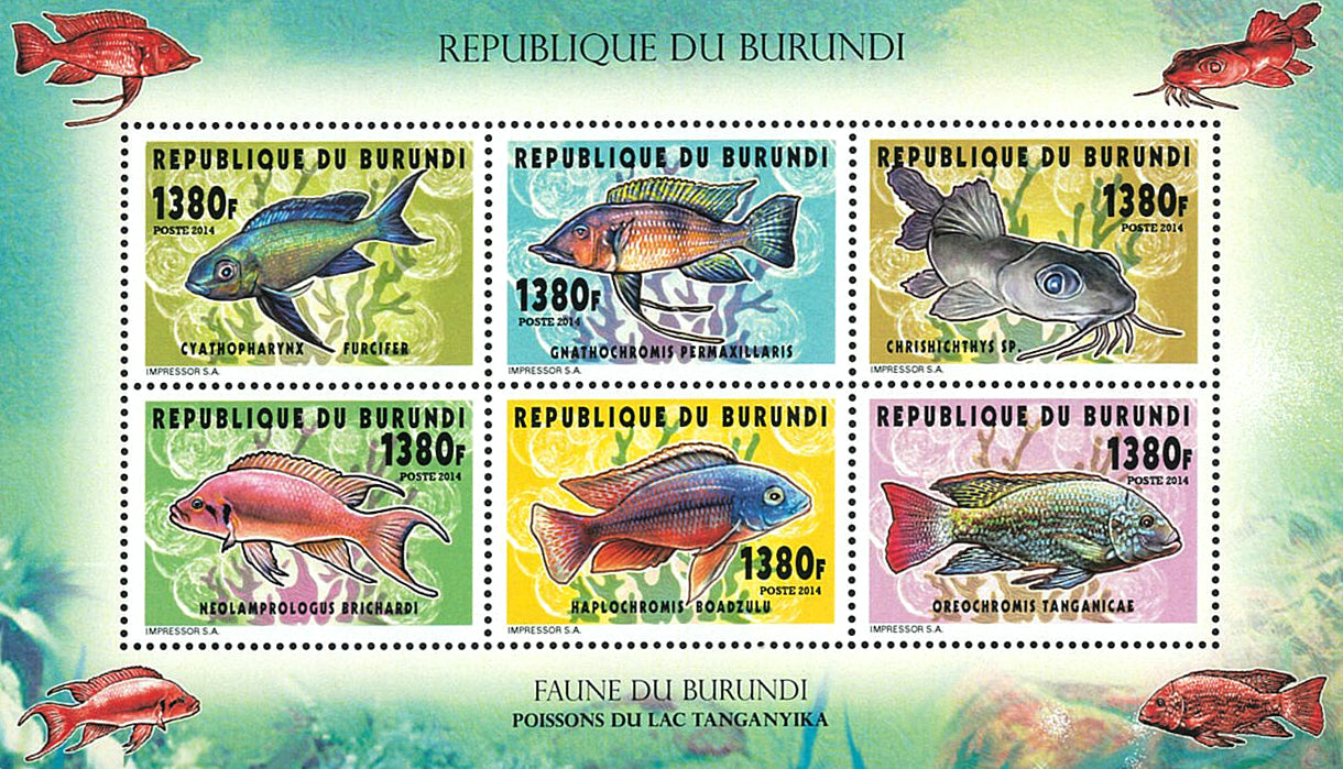 Fauna & Flora : Fish of Lake Tanganyka (I)