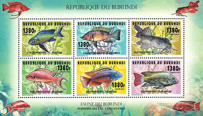Fauna & Flora : Fish of Lake Tanganyka (I)