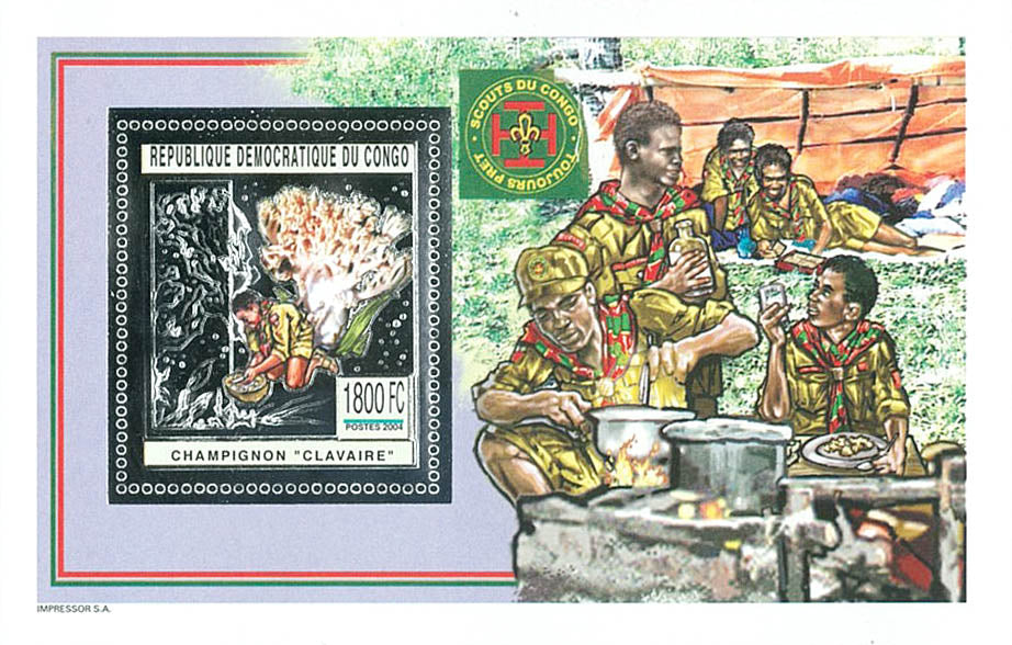 Scouting and Nature (Silver Issue)
