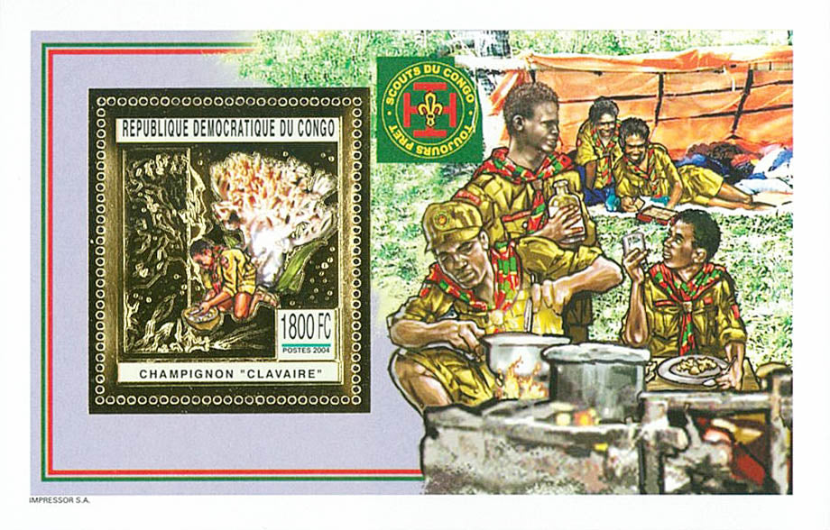 Scouting and Nature (Gold Issue)