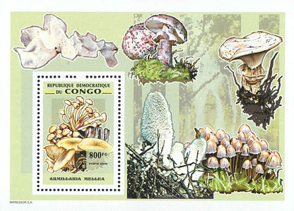 Mushrooms (2007)
