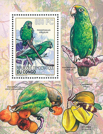 Birds / Parrots - Fauna & Flora  (2012)