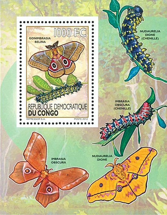 Caterpillars / Butterflies - Fauna & Flora  (2012)