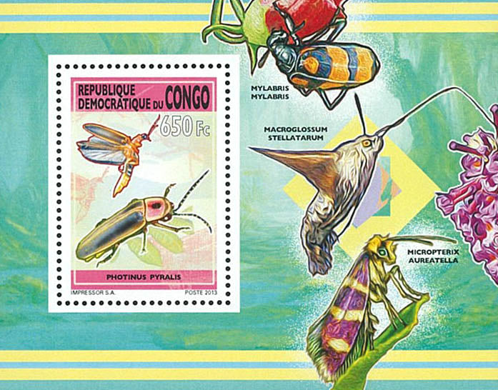 Insects / 2 (2013)