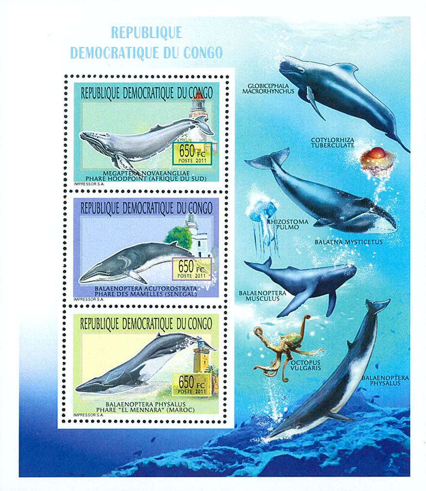 Whales & Lighthouses - Animals (2011)