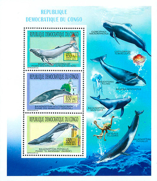 Whales & Lighthouses - Animals (2011)