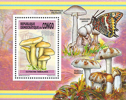 Mushrooms (2013)