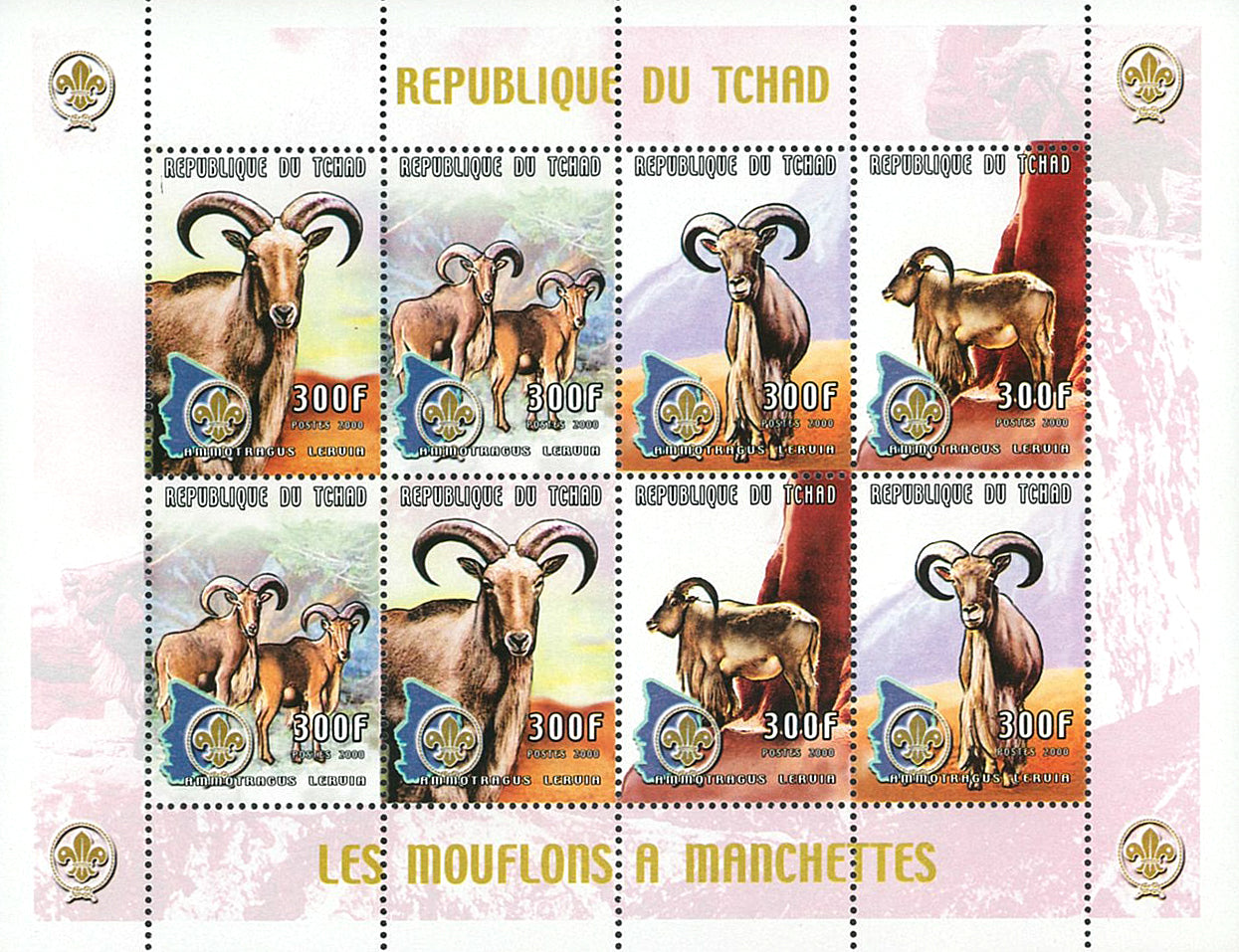 Wild Fauna & Scounting