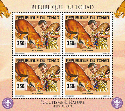 Scouting & Dogs-Cats