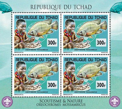 Scouting & Fishes
