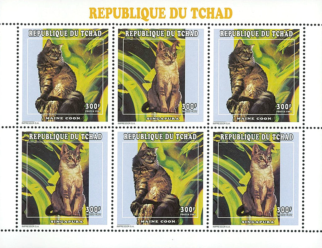 Purebred cats of the world
