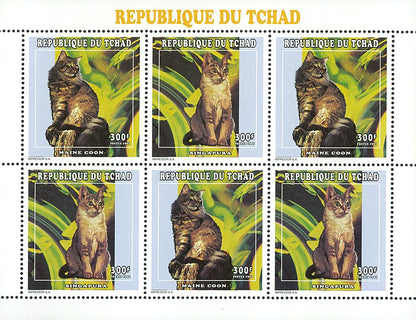Purebred cats of the world