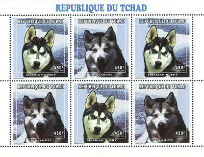 Polar Dogs