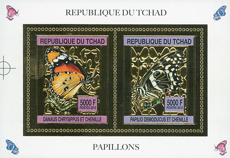 Butterflies and Caterpillars / Gold Issue