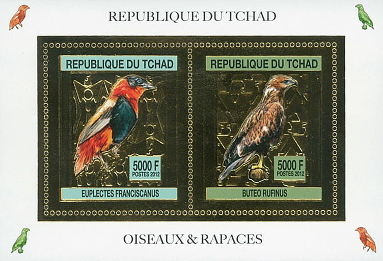 Birds / Gold Issue