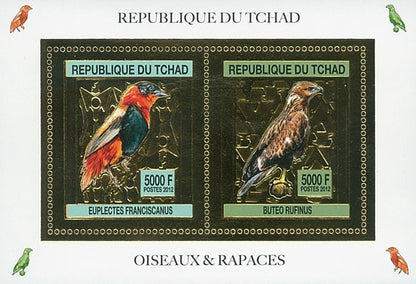 Birds / Gold Issue