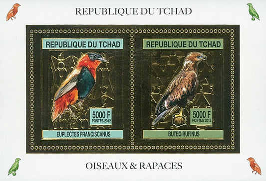 Birds / Gold Issue
