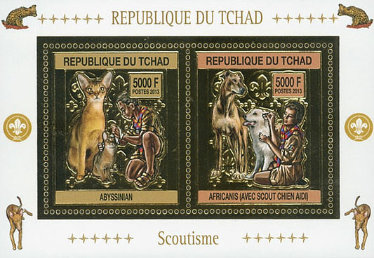 Scouting & Dogs-Cats / Gold Issue