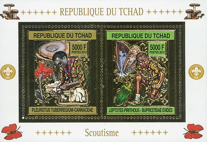 Scouting & Insects-Mushrooms / Gold Issue