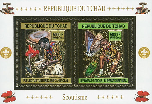 Scouting & Insects-Mushrooms / Gold Issue