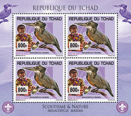 Scouting & Birds-Mushrooms