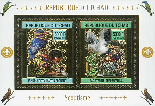 Scouting & Birds-Raptors / Gold Issue