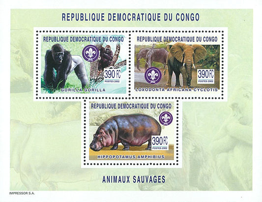 Elephants, Gorillas & Hippotamus - SCOUTING