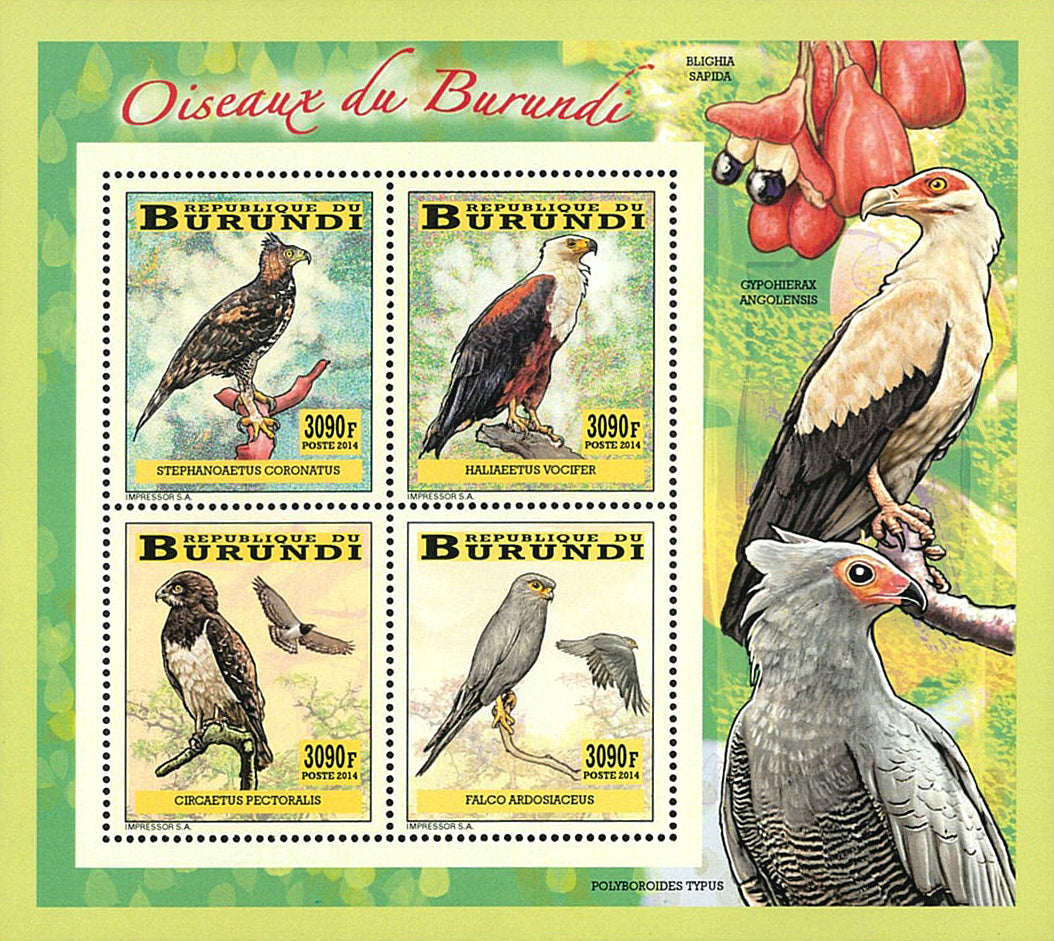 Fauna & Flora : Birds of prey