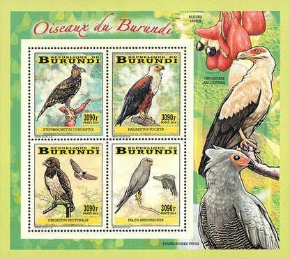 Fauna & Flora : Birds of prey