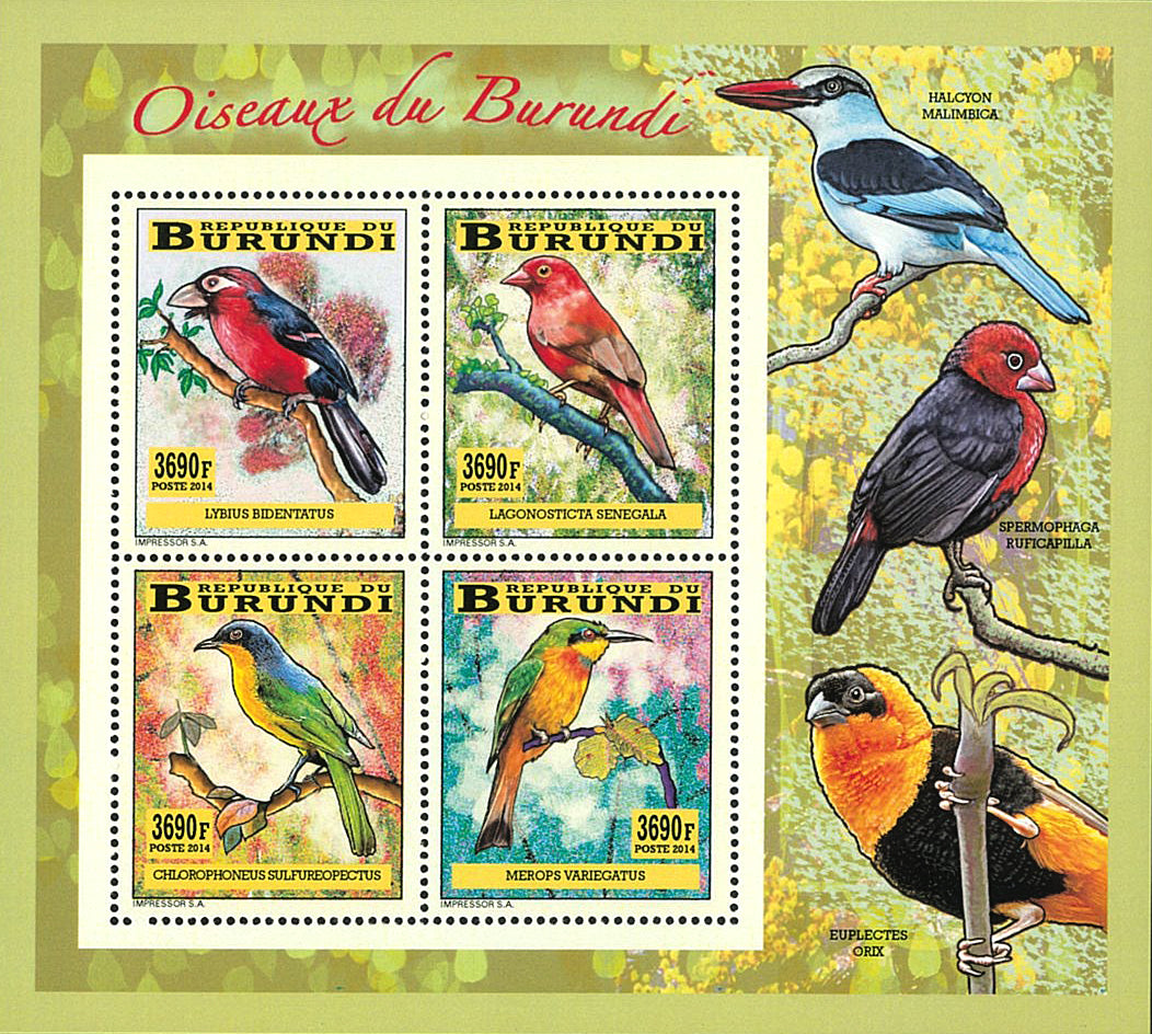 Fauna & Flora : Birds (II)