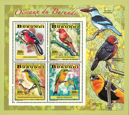 Fauna & Flora : Birds (II)
