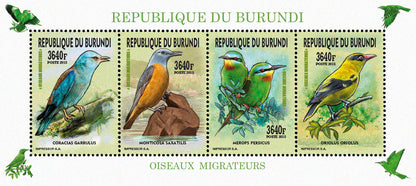 Fauna & Flora : Birds 2015 (VII) Oiseaux divers