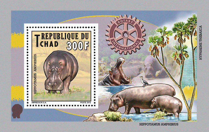 Native Mammals 2012 / Otters, Manatees, Wildlife