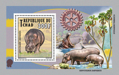 Native Mammals 2012 / Otters, Manatees, Wildlife