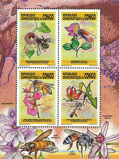 Bees & Orchids (2013)