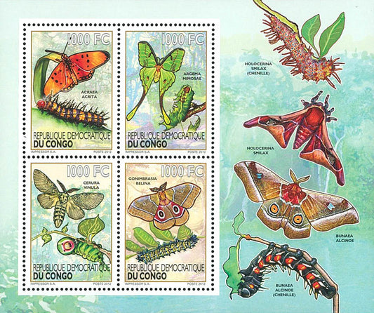Caterpillars / Butterflies - Fauna & Flora  (2012)