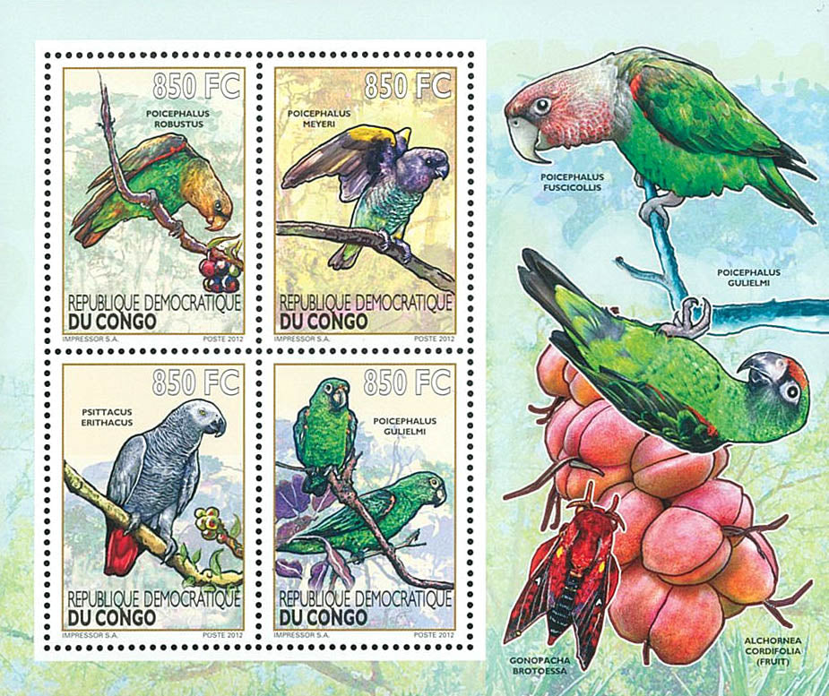 Birds / Parrots - Fauna & Flora  (2012)