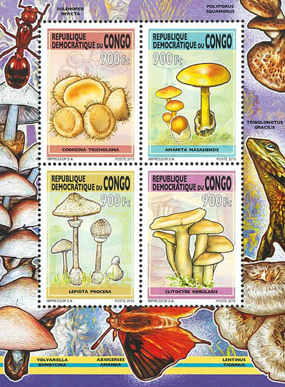 Mushrooms (2013)