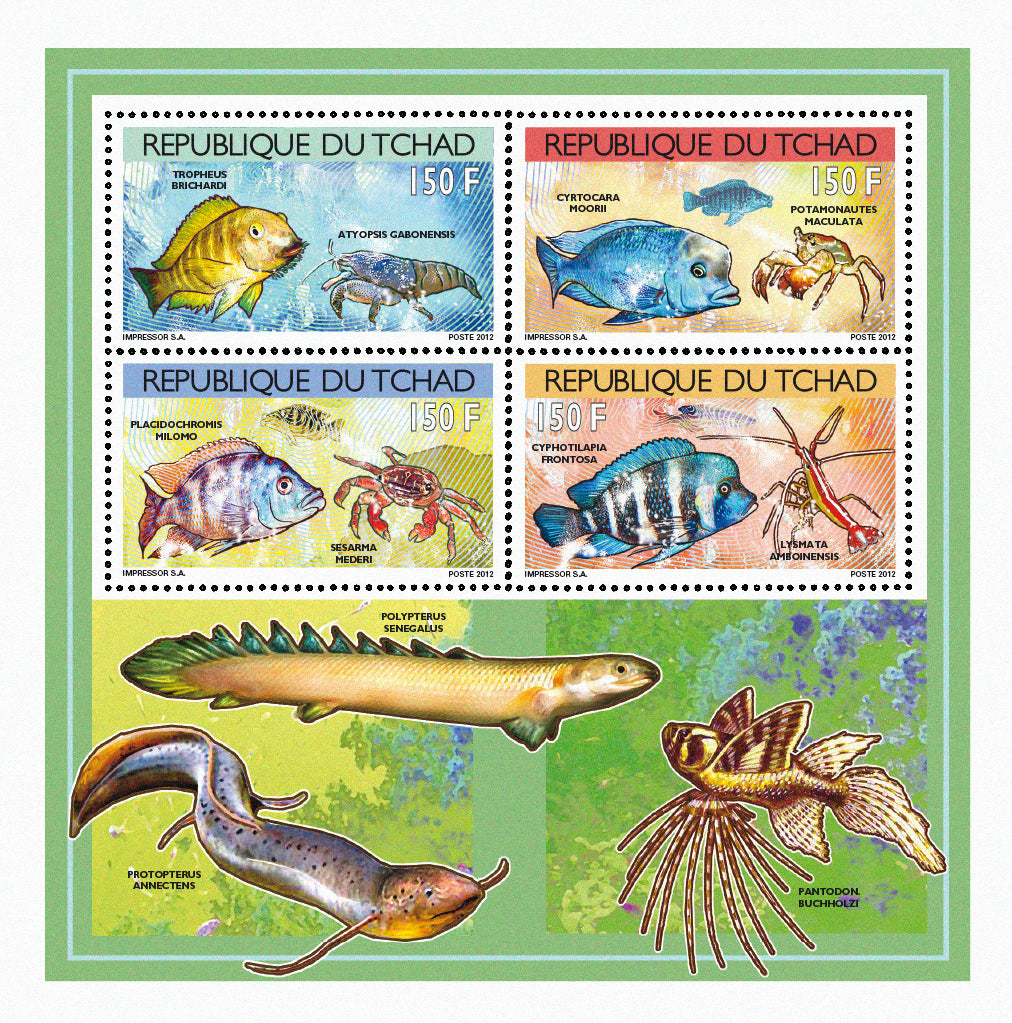 Fish and Shellfish 2012