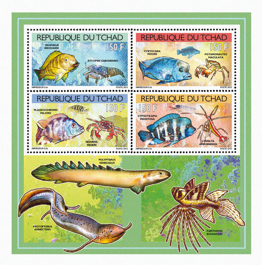 Fish and Shellfish 2012