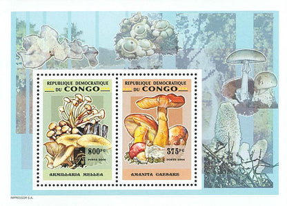Mushrooms (2007)