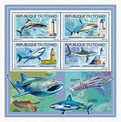 Sharks & Lighthouses