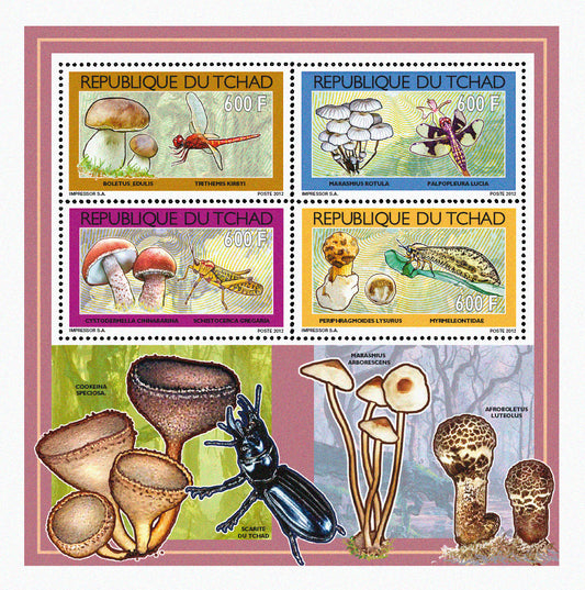 Mushrooms & Insects (2)